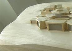 Foto de detalle