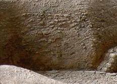 Foto de detalle
