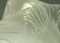 Foto de detalle