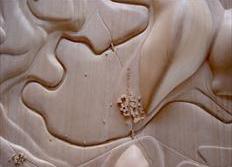 Foto de detalle