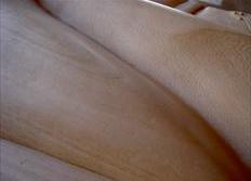 Foto de detalle